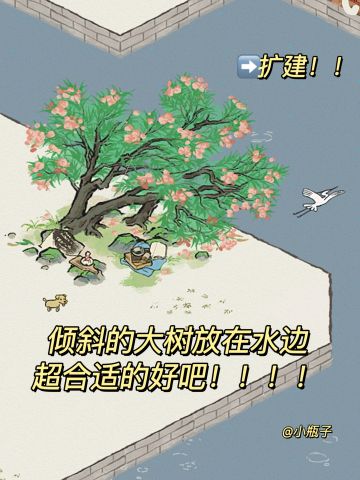 ‼️倾斜的大树放在水边超合适的好吧！