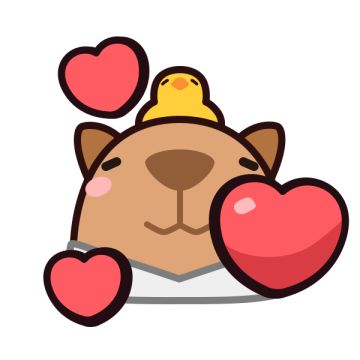 🧧碰宝们过年好呀！