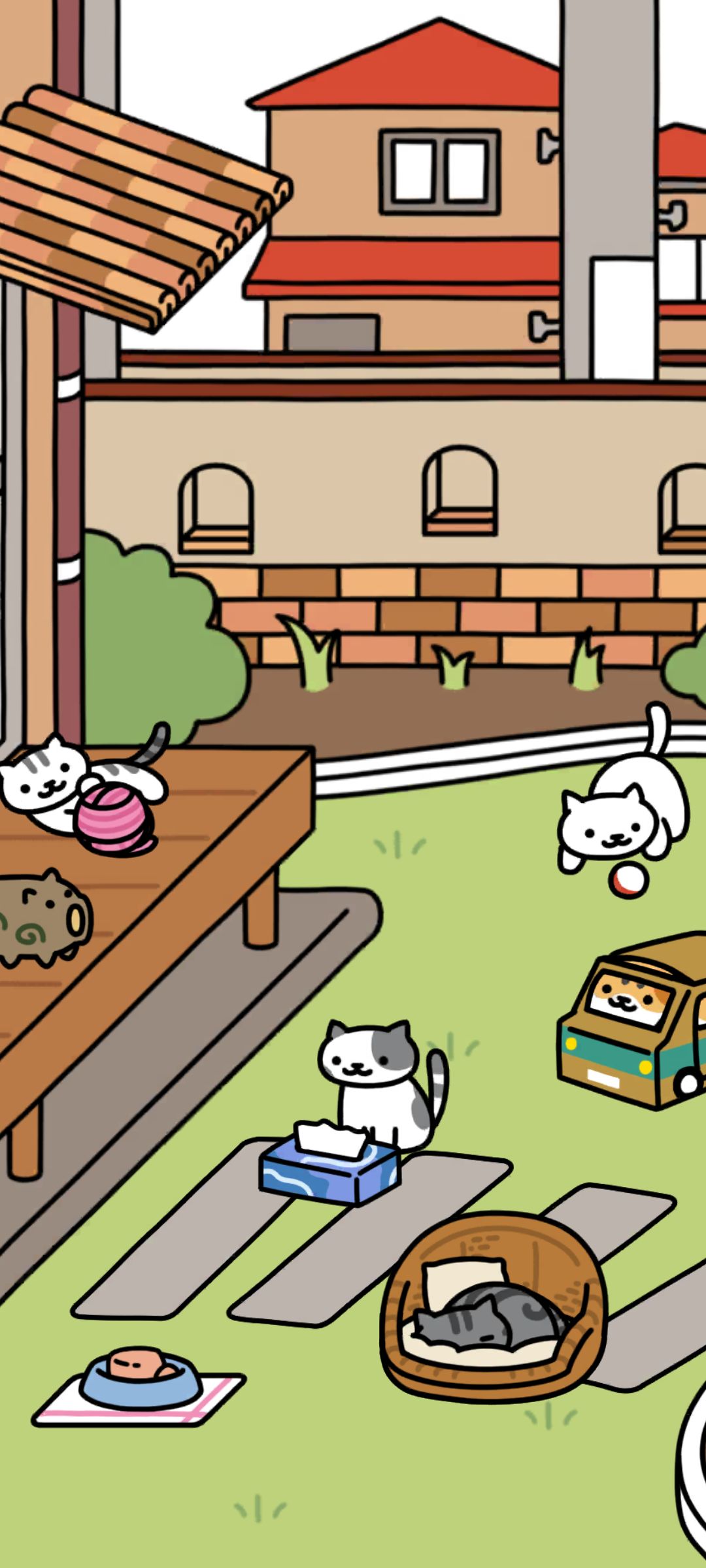 再次开启我的猫咪🐱后院 2
