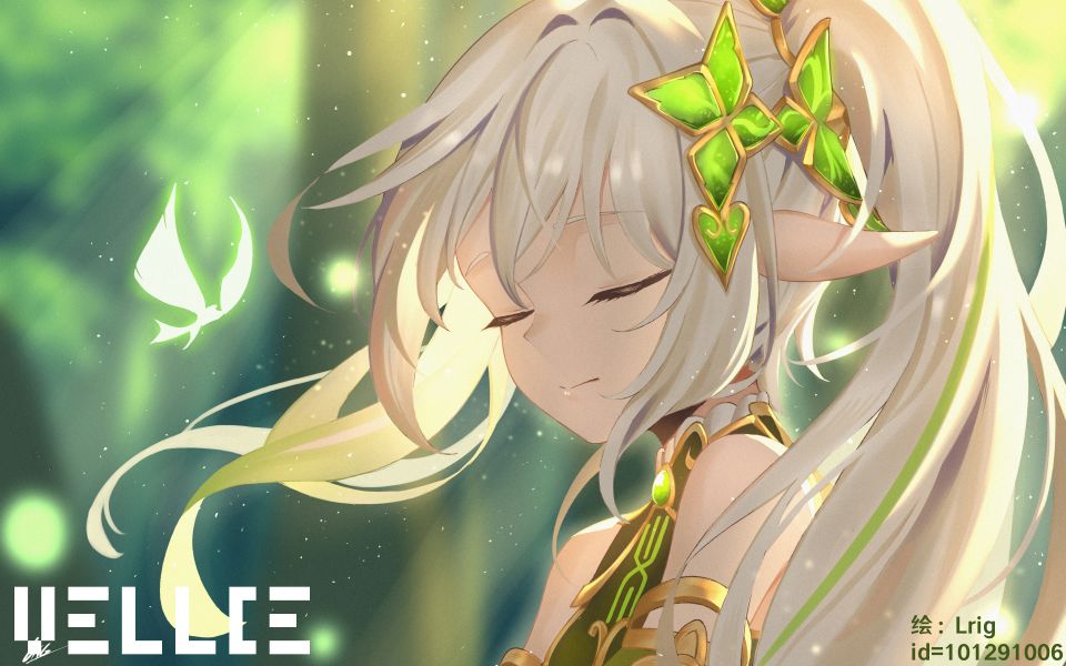 【原创视频】与纳西妲一同欣赏须弥的森林风光吧截图