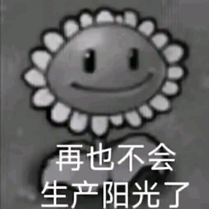 吃井了,选哪个好? 3