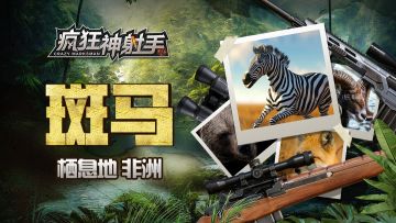 【猎物图鉴】（第七期）非洲-斑马