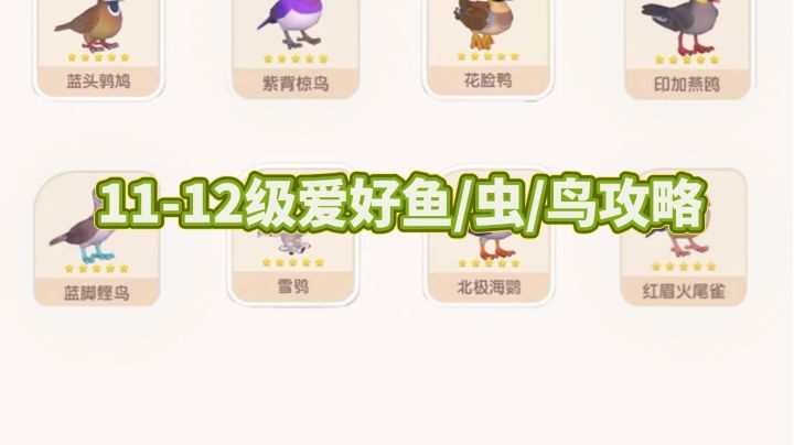 11-12级爱好鱼/虫/鸟详细攻略(全部更新完毕)截图