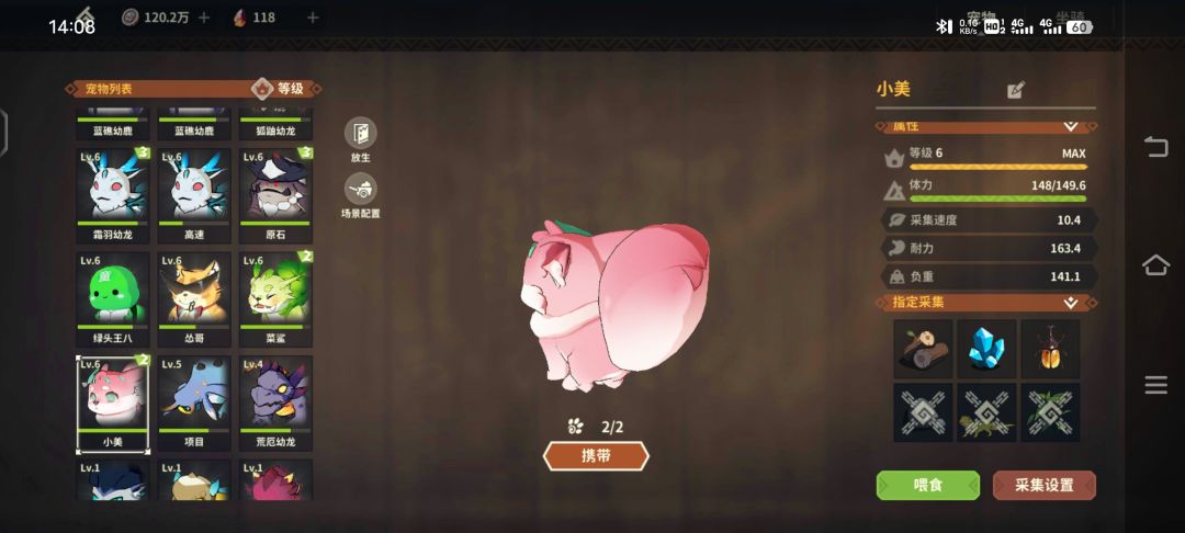 我这一天又过去了!关于宠物小美! 2
