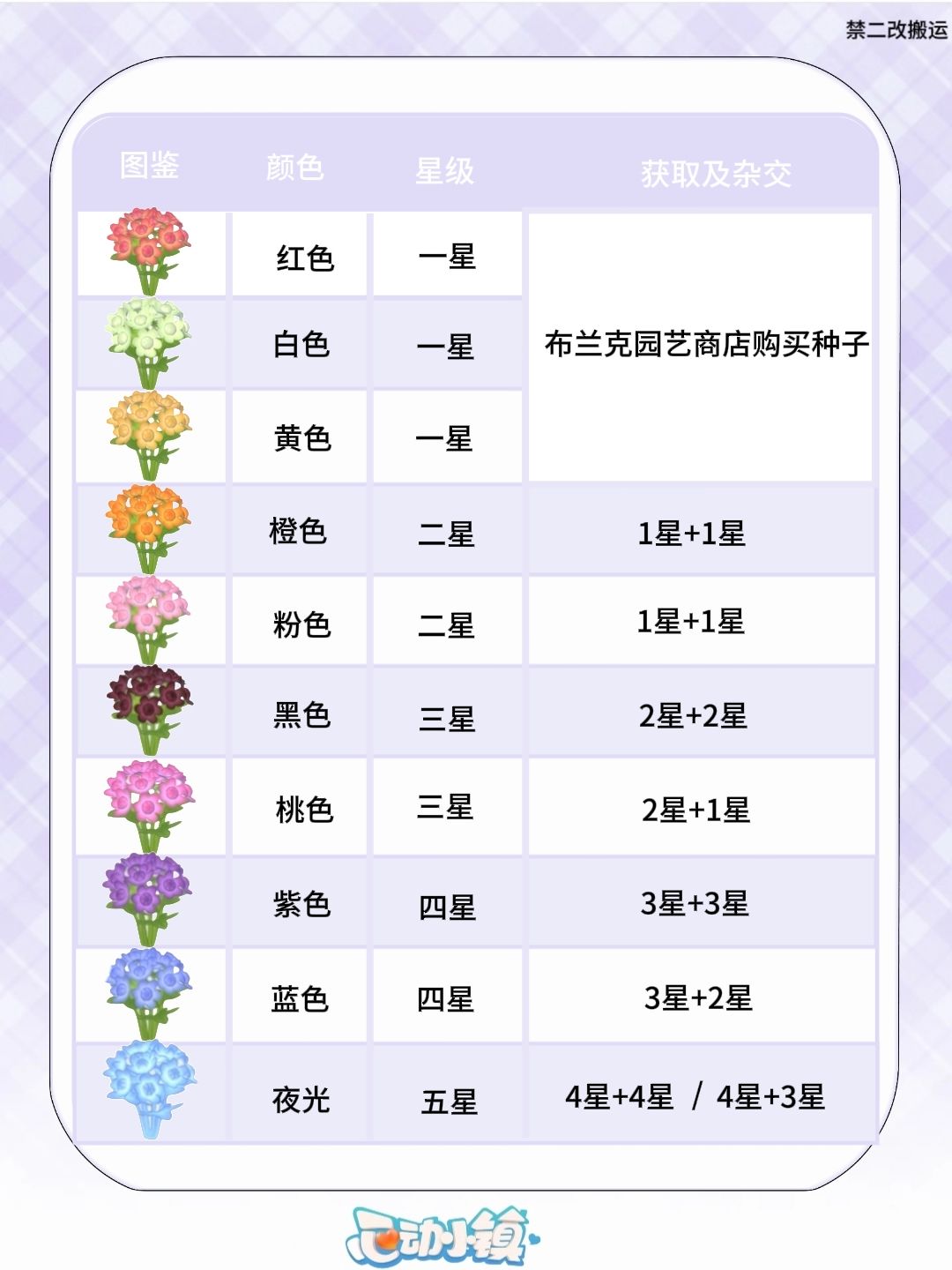 庆典·引星河【星芹花杂交培育攻略】 2