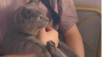 毕业心法推荐（30级）