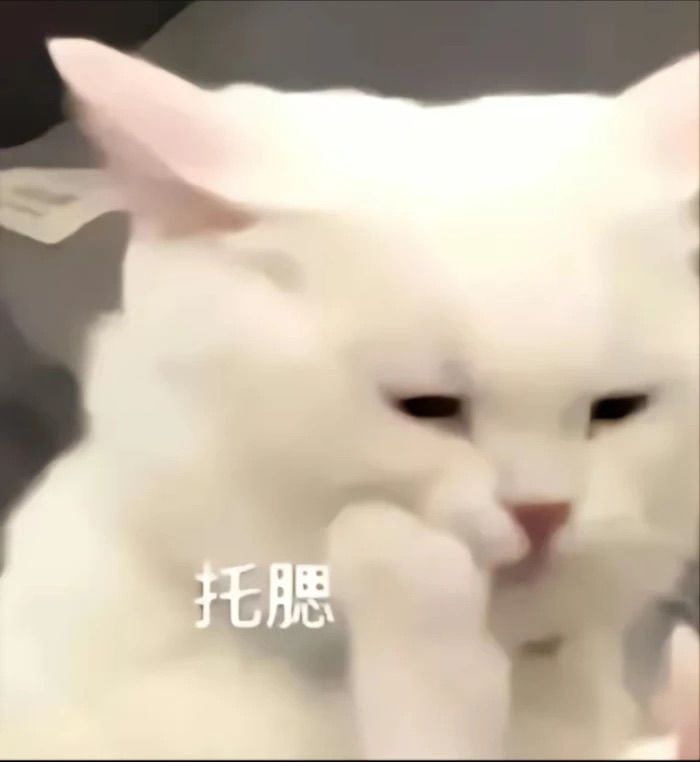 怎么办！截图
