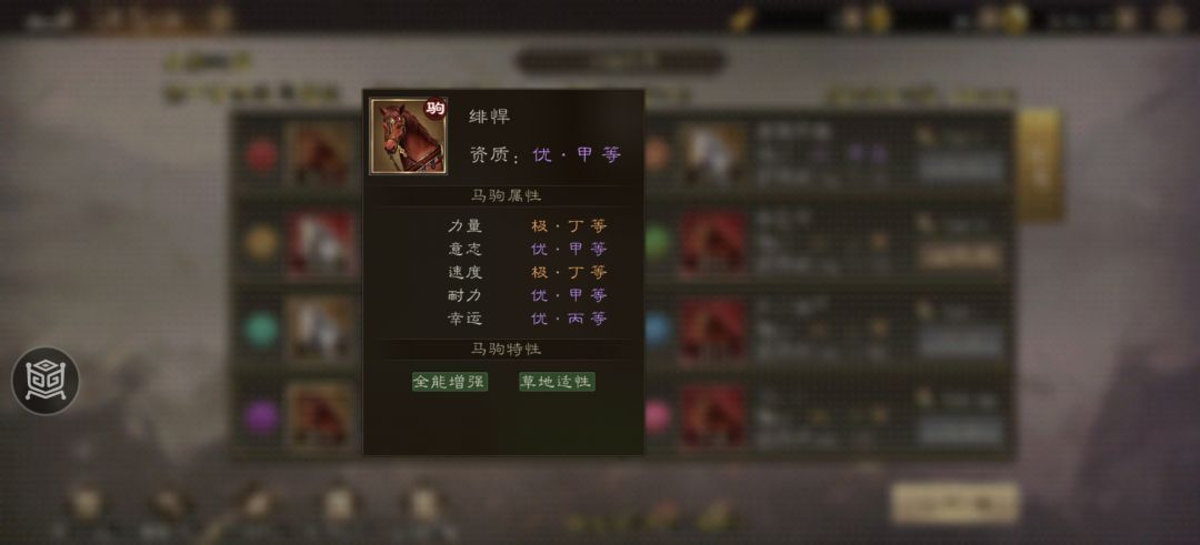 预计10月27日赛马前三名,快来看看 2
