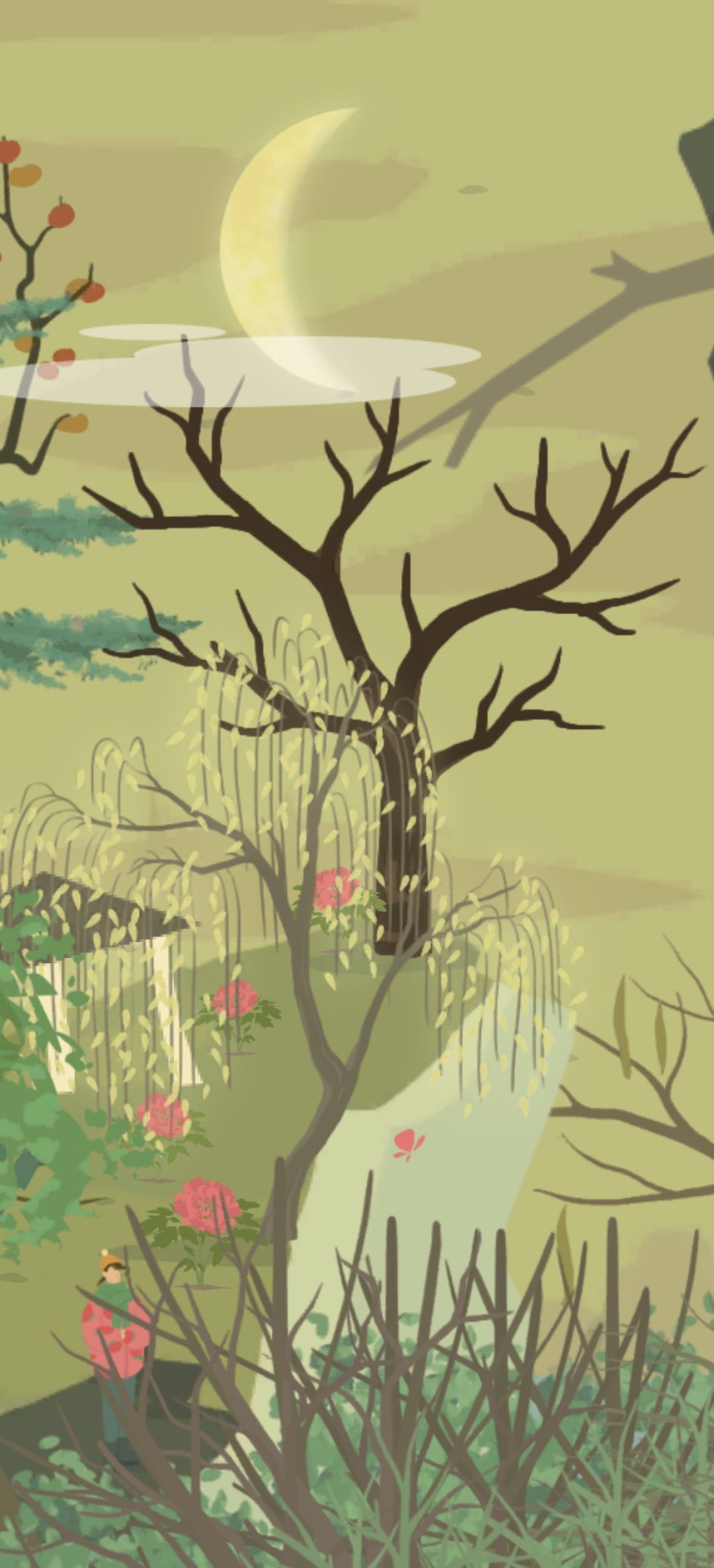 富哥和太阳花好像,哈哈哈 2