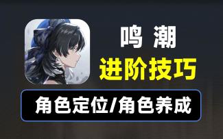 【鸣潮】如何培养角色？角色定位区分