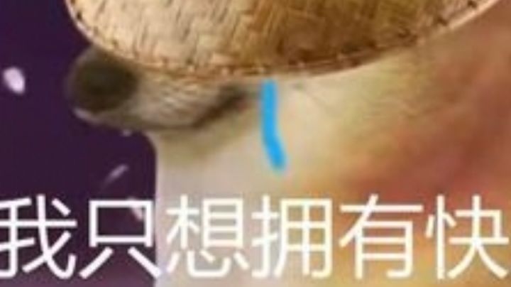 活不下去的游戏截图