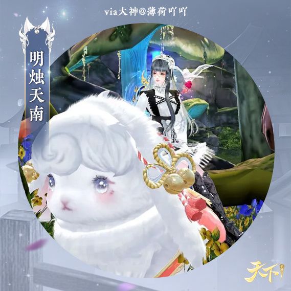 动态图片 3