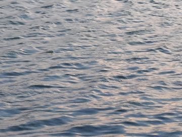 ‘怪盗钴’召唤师皮肤登场！