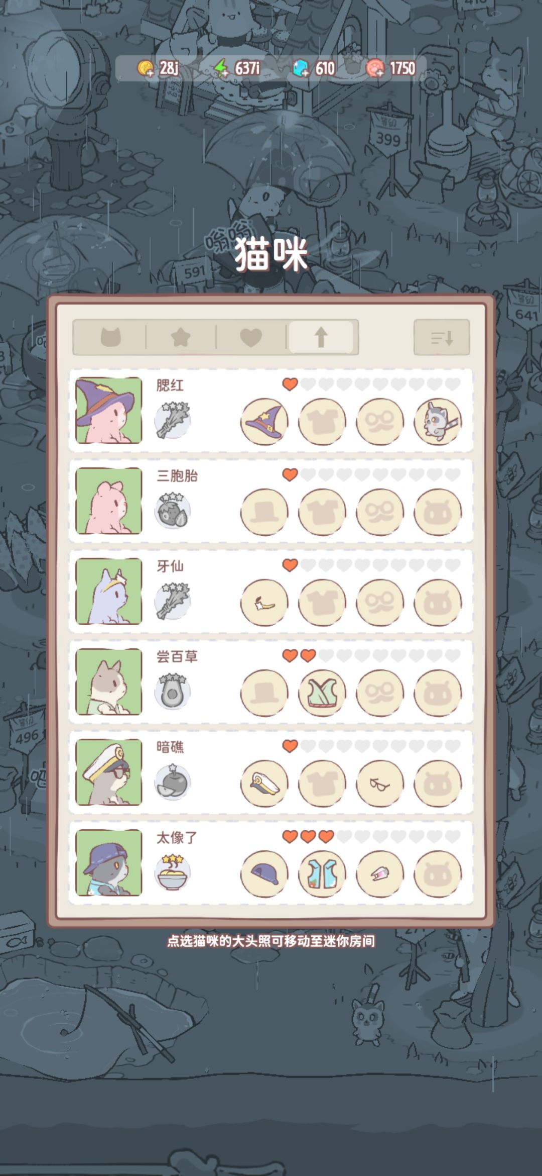 用来记录给猫猫取的名 3