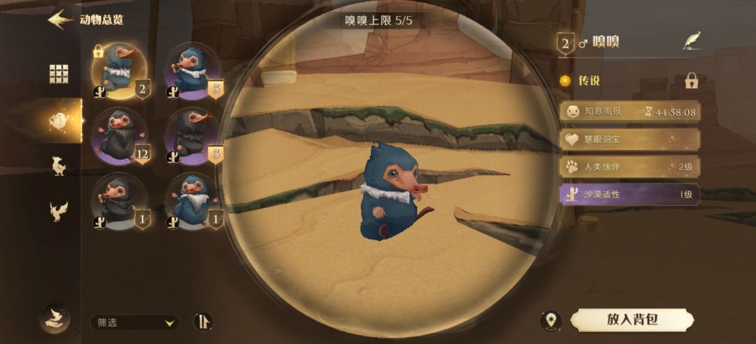 萌新第一只三金宠物 2