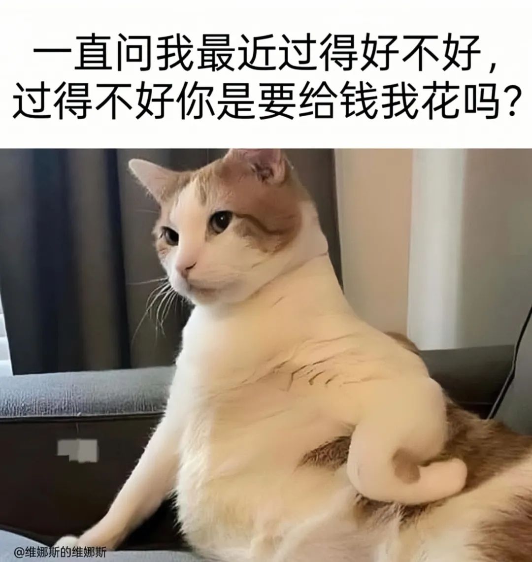 限时扭蛋记录 1