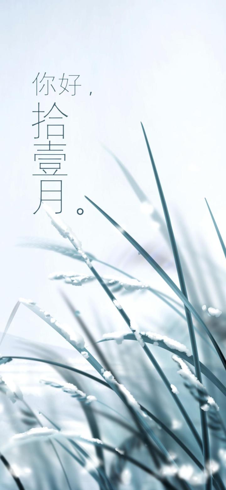 10月慢走,11月你好截图