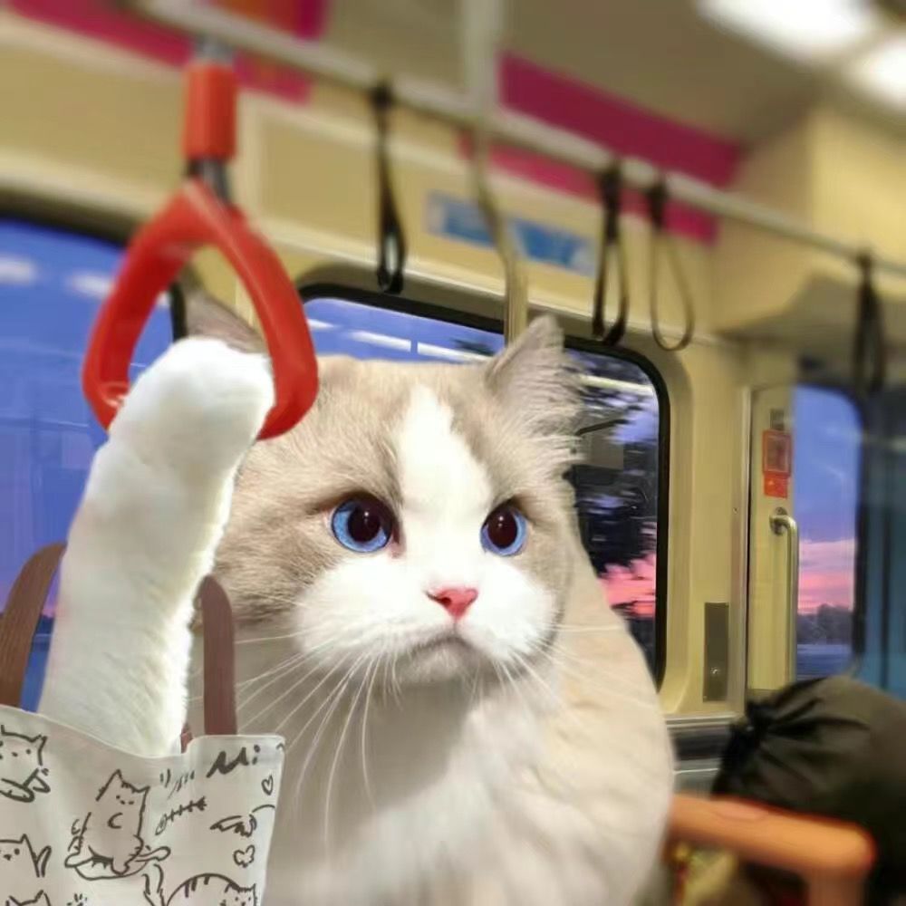 ios和安卓互通么? 1