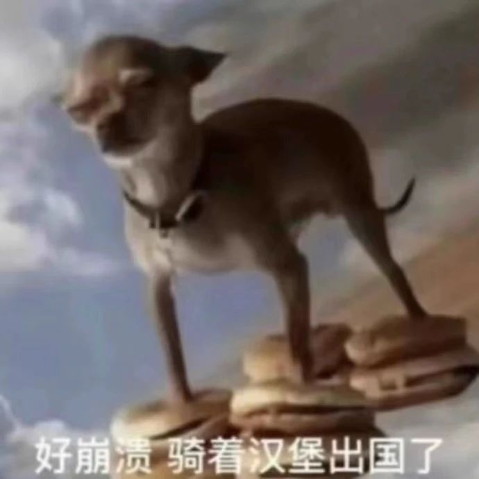 新区什么时候开 1