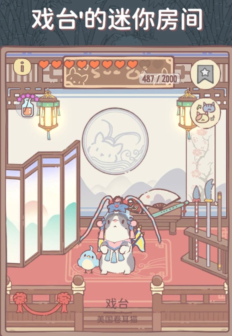 可爱猫猫2 4