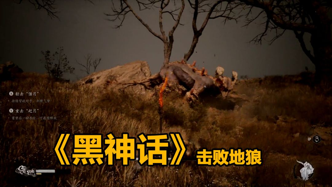 video-4362676