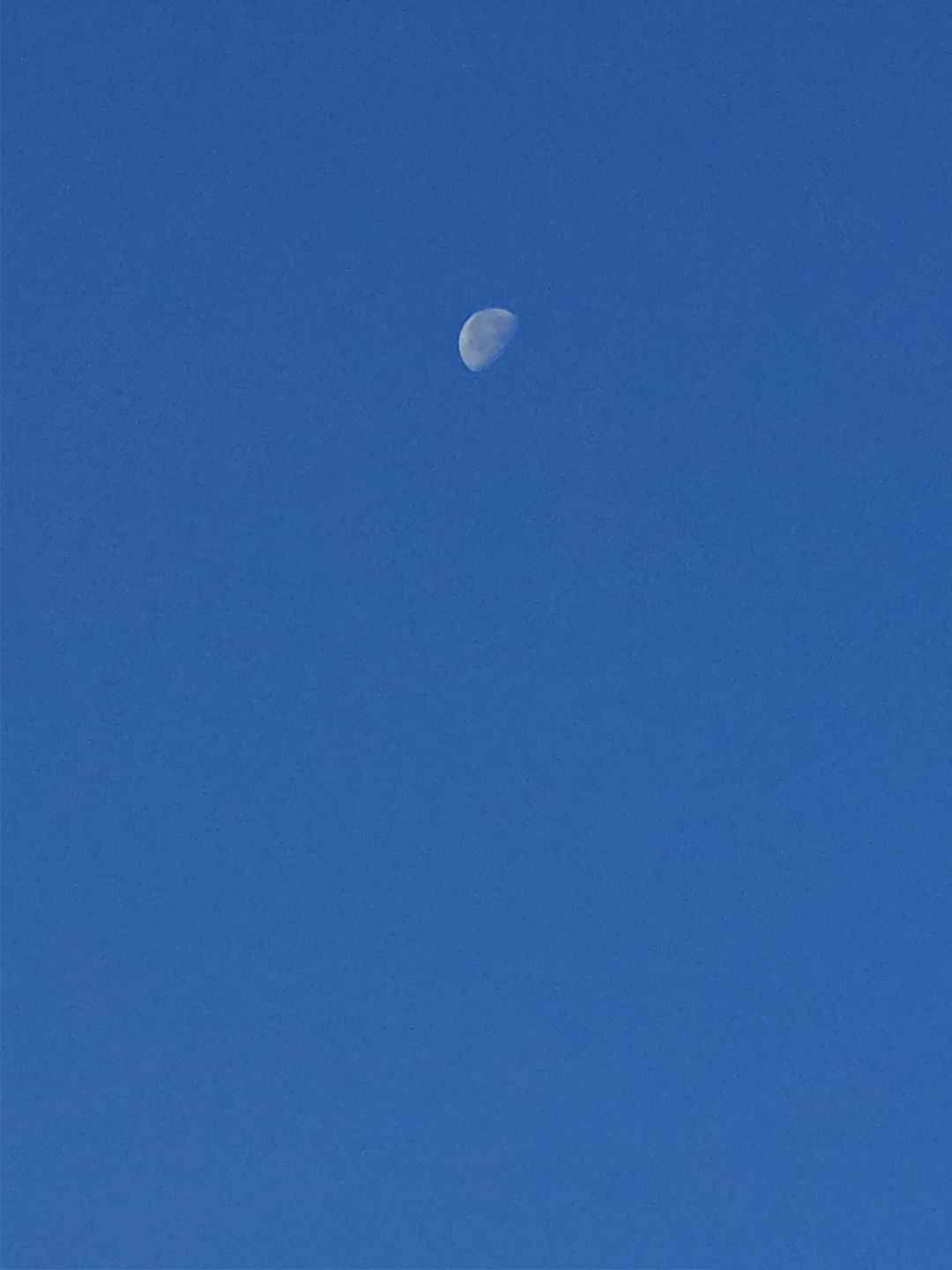 不知不觉就一个月了呀 3