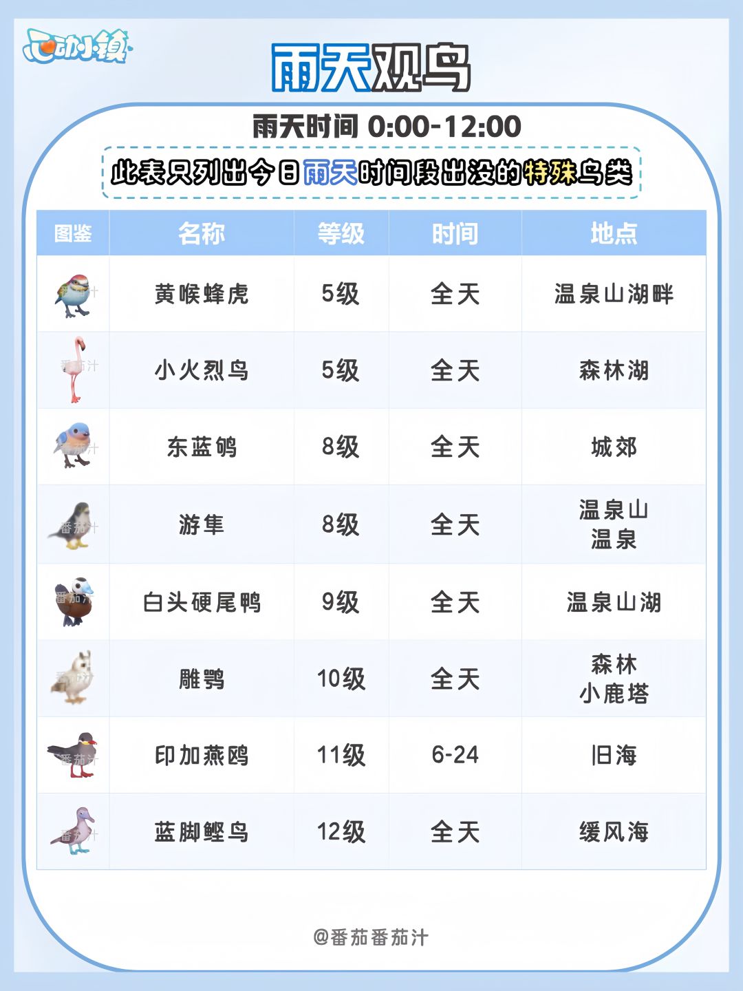 9月1日 下雨天必做攻略 5星彩光鸟 7