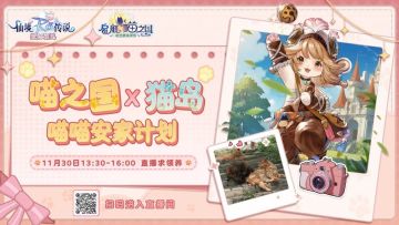 直播预约 | 喵喵安家计划11月30日开启，共同守护小猫咪！