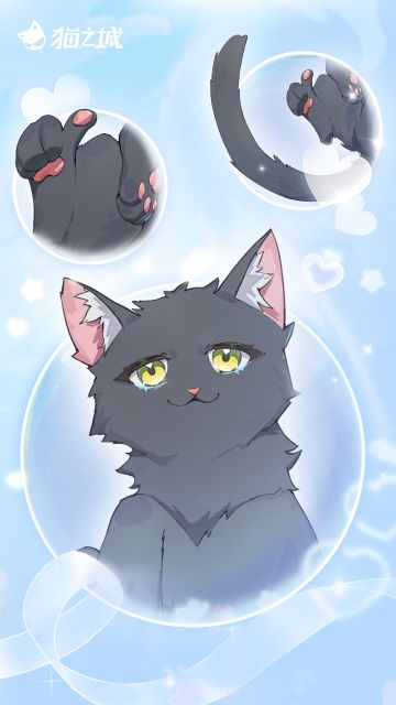 喵！猫娘高清壁纸已送达！