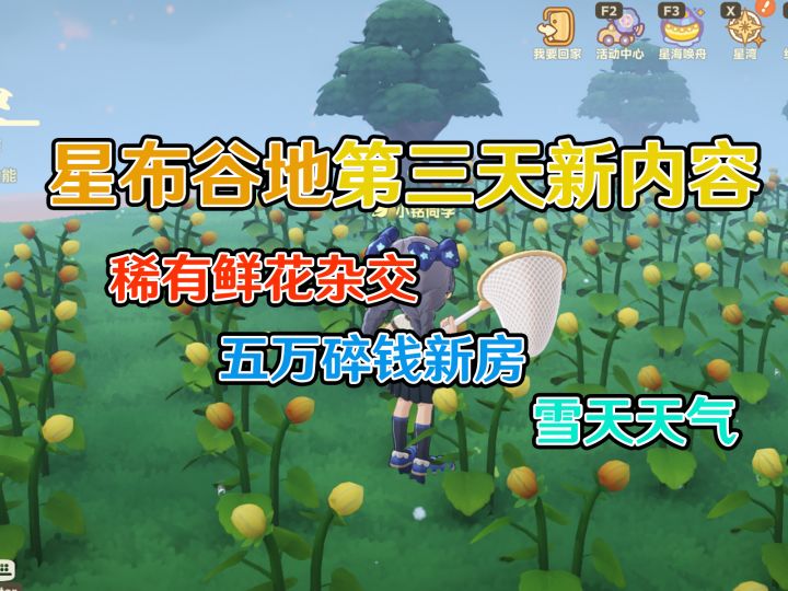 【星布谷地】稀有鲜花杂交秘诀!五万碎钱新房 雪天天气攻略截图