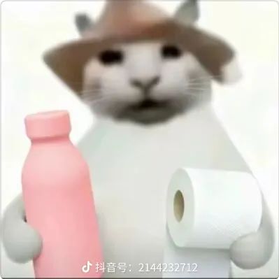 暗主能跟弗洛洛组队吗 2