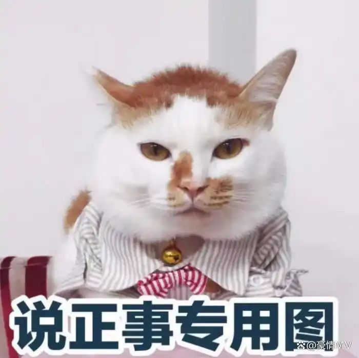 这样能不能更耐玩一点 1