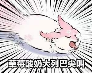 游戏前一部分问题事项注意!!! 1