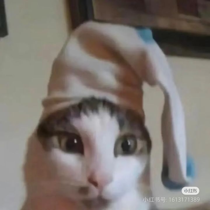 放屁小子是什么截图