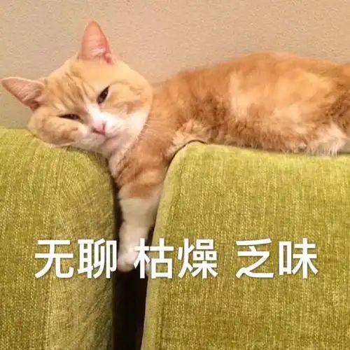 有没有新内容啊截图