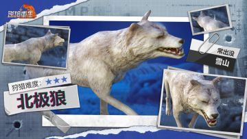 图鉴电报丨《逆境重生》动物篇-北极狼