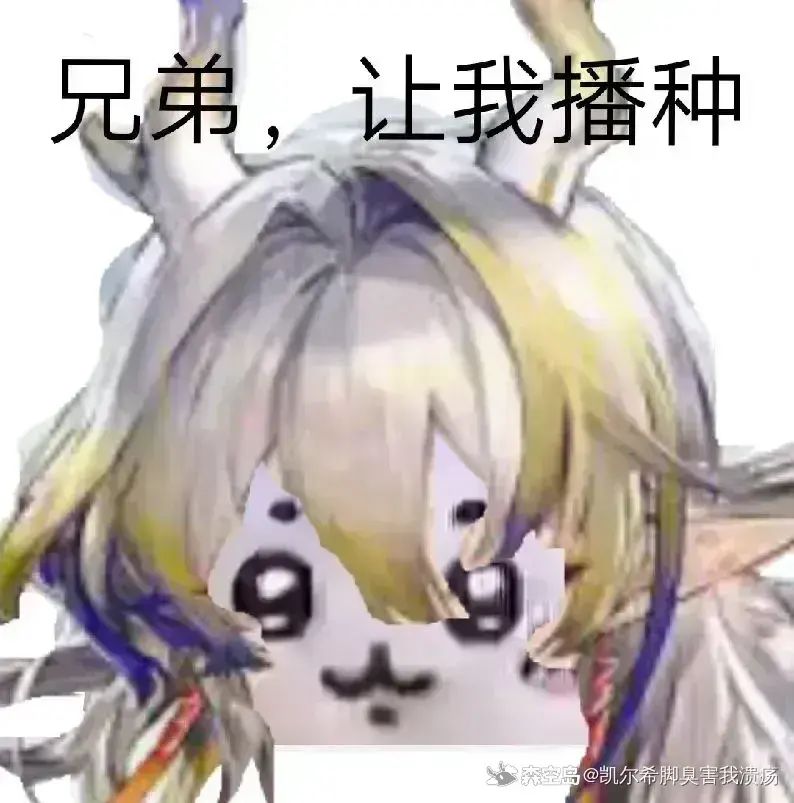 舟也淡游了 2