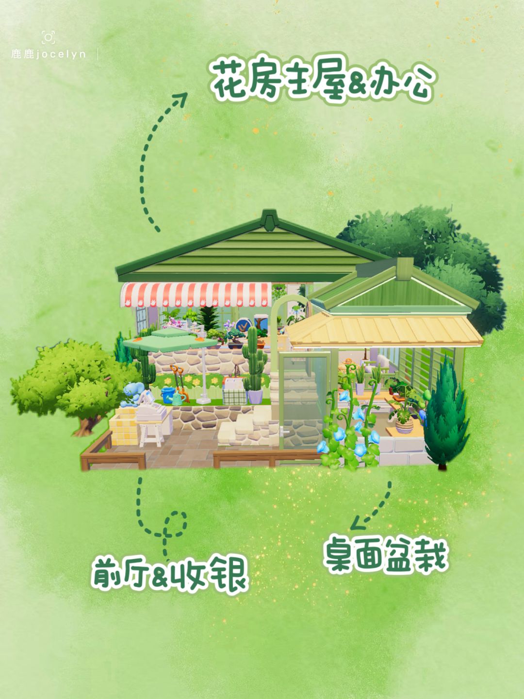 🪴来花店买一盆春意带回家吧 2