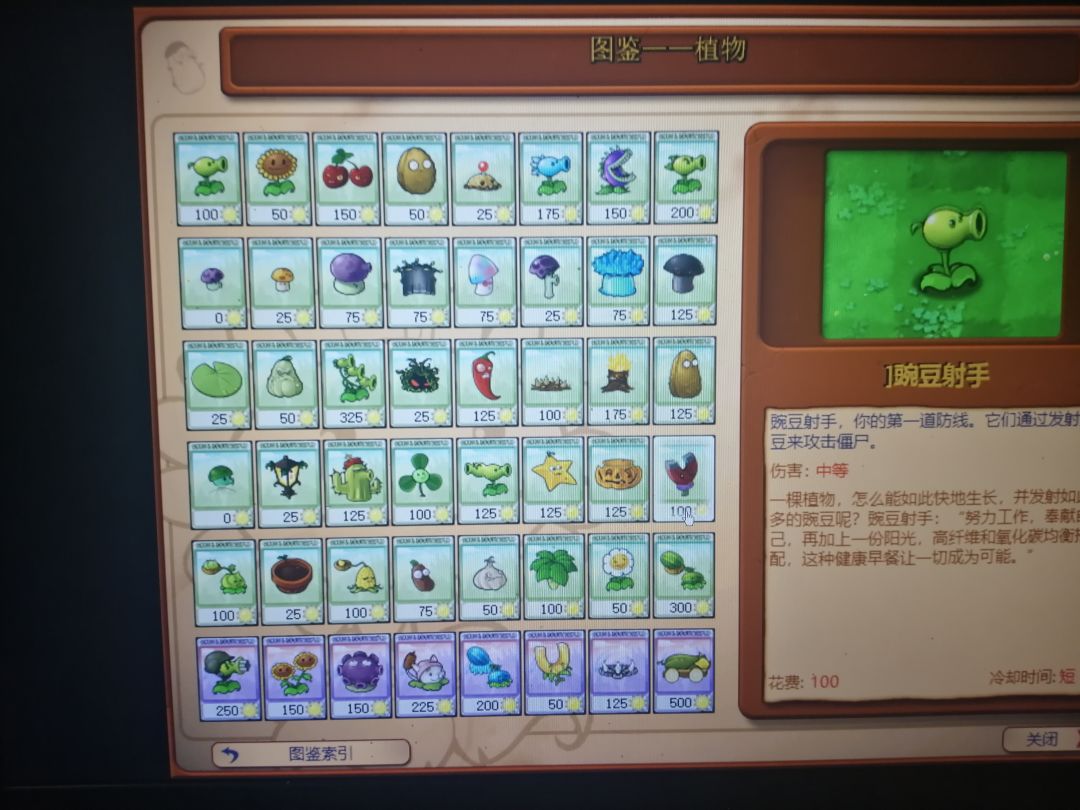 动态图片 3