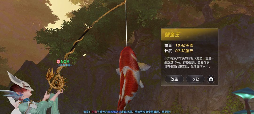 动态图片 6