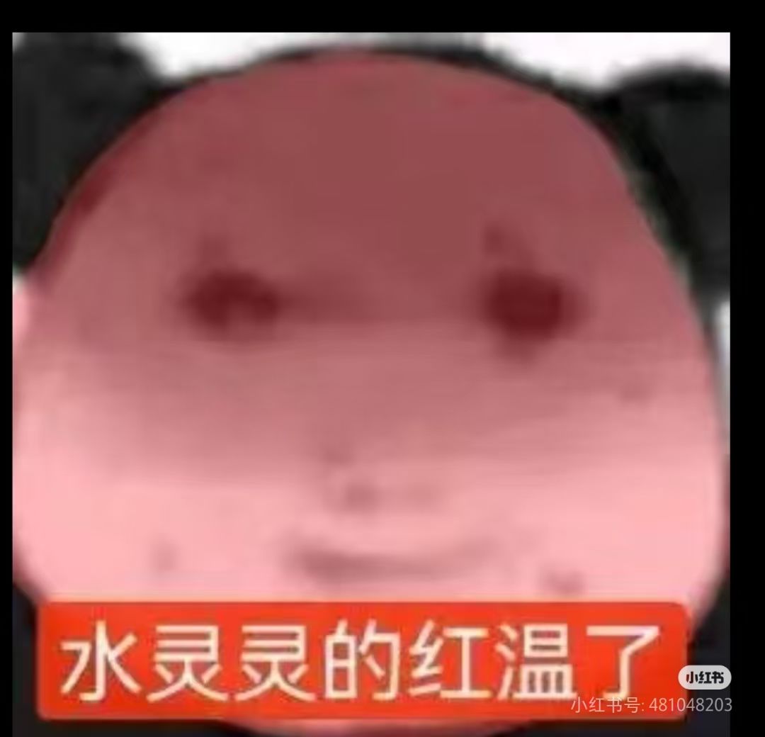 已气鼠 1