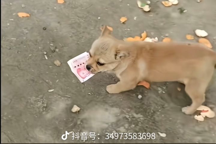 这个味道又回来了截图