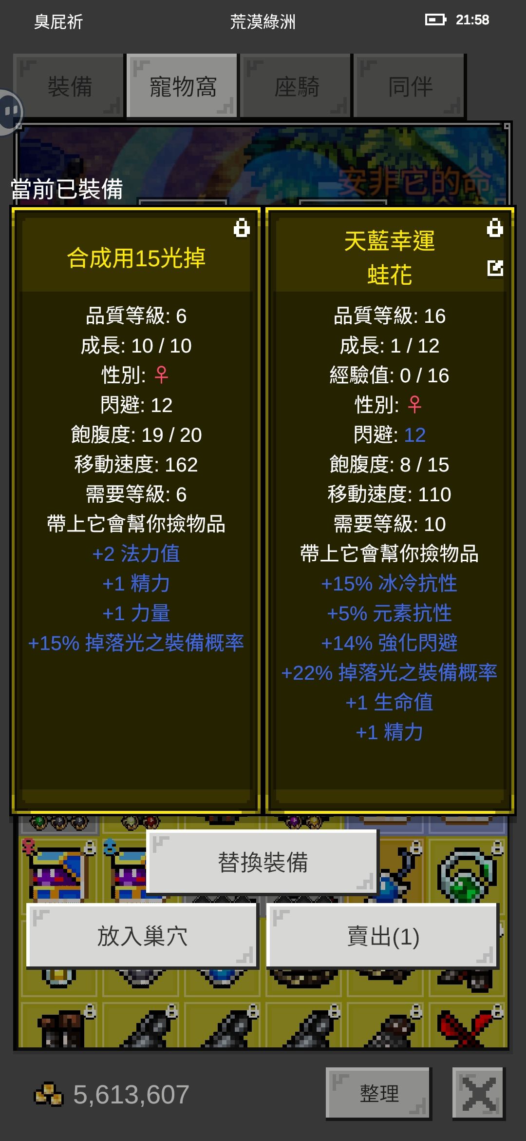 新寵物 1