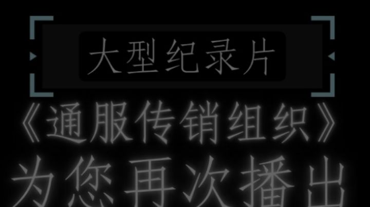 大型纪录片《通服传销组织》-3截图