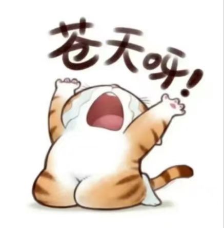什么时候出新区啊? 1