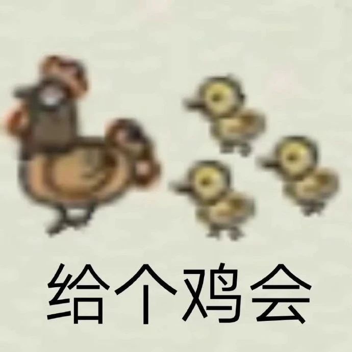 新人入坑截图