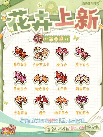 🌸全新土培&水培植物即将上架！