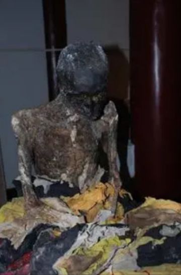 停更打卡127天，坐化了~