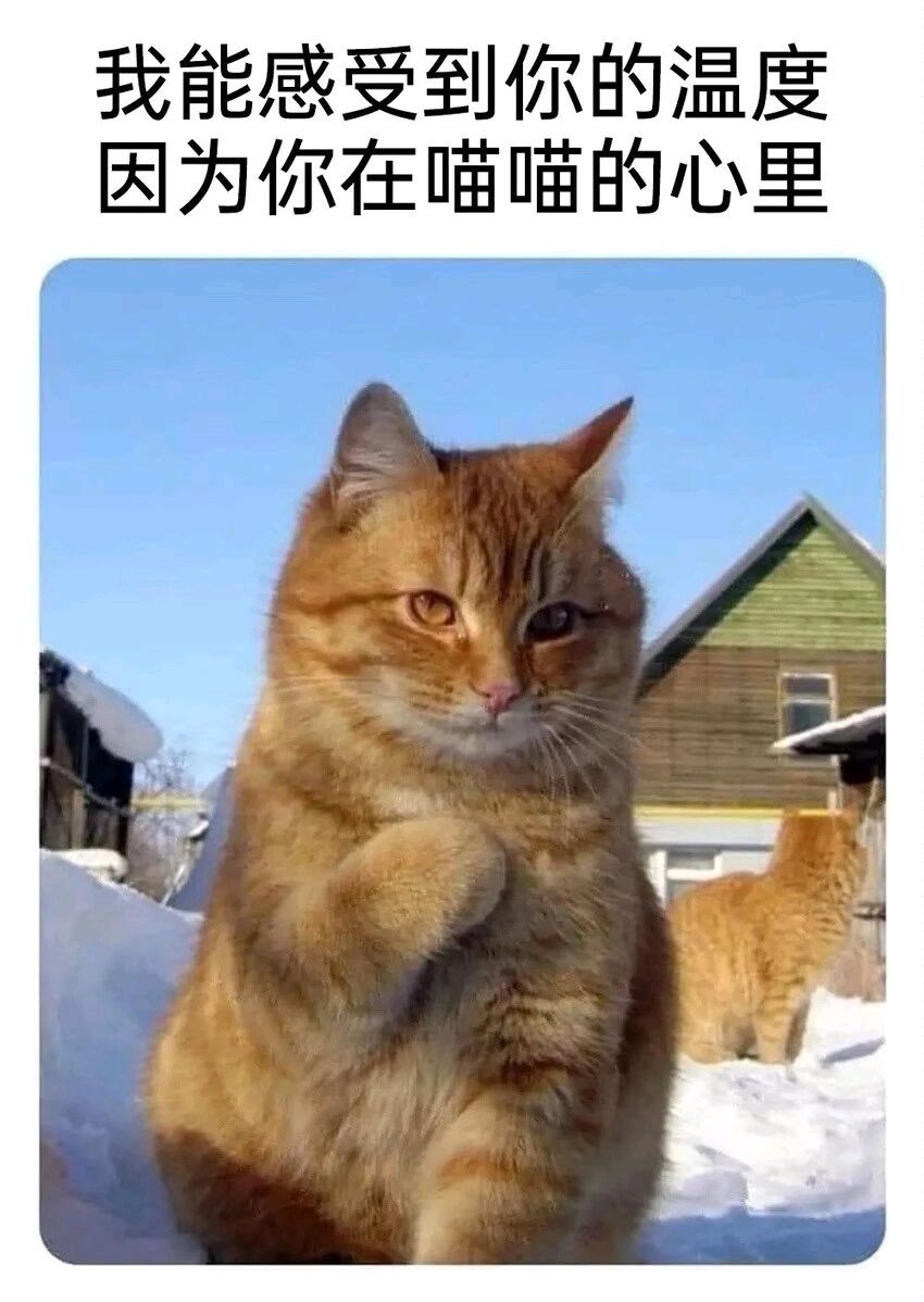 有點怪(玩後感) 1