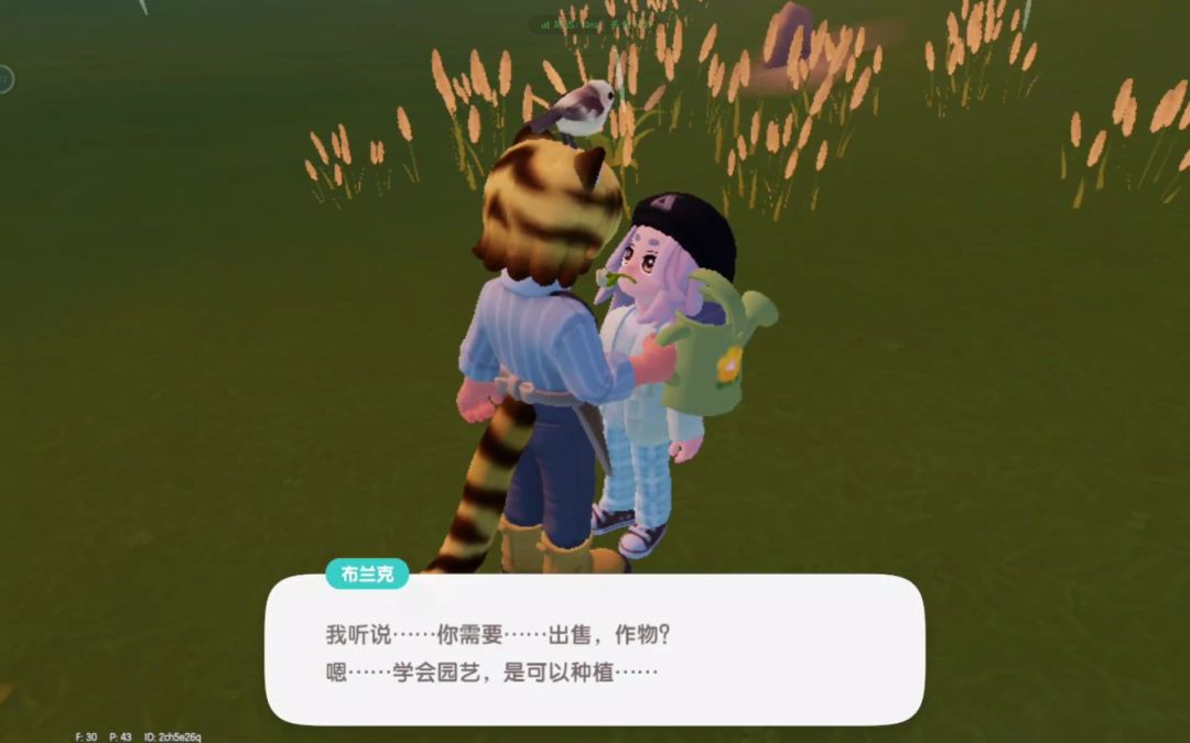 《心动小镇》玩后感! 5
